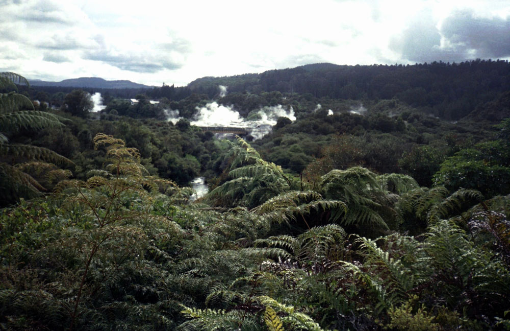 Paisaje prehistórico