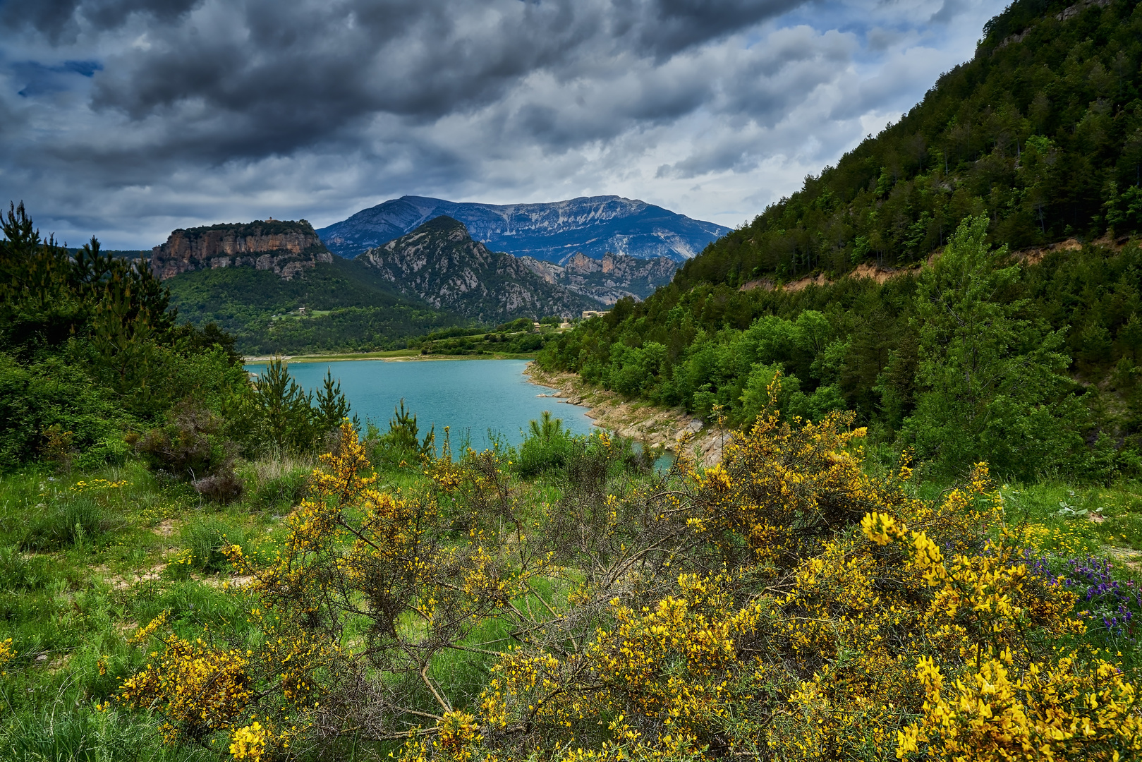 Paisaje Primaveral