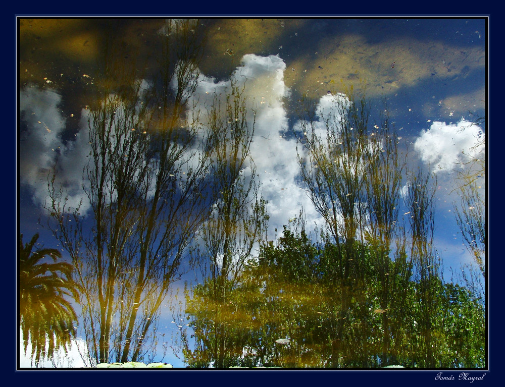 Paisaje Reflejado