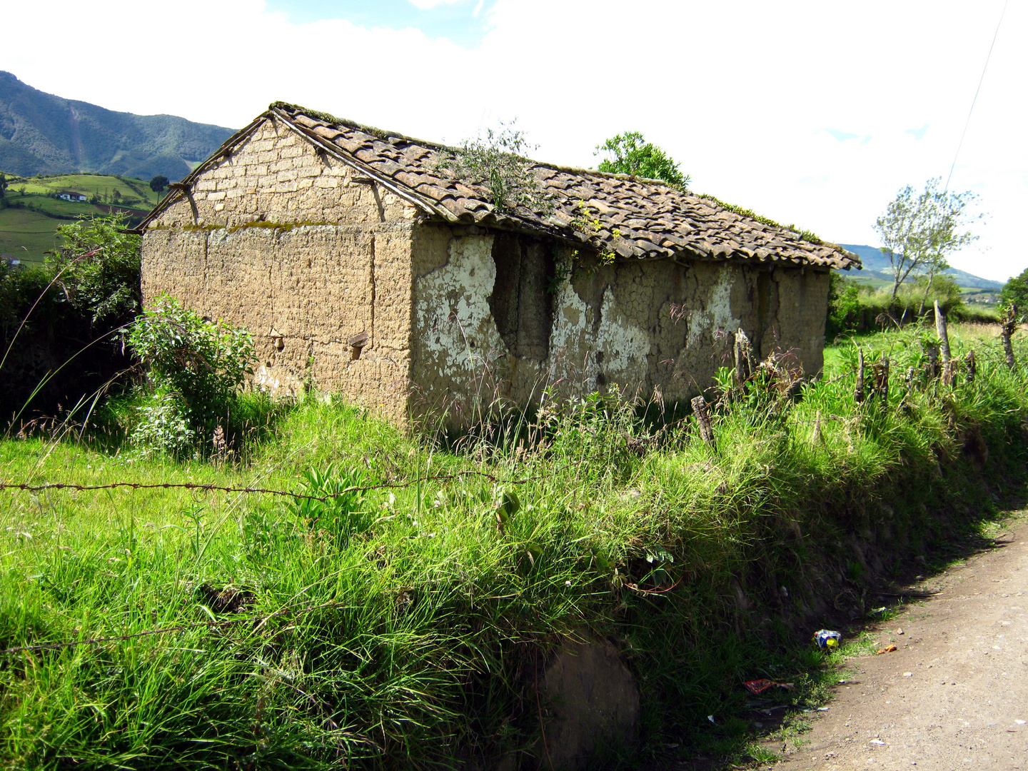 Paisaje Rural