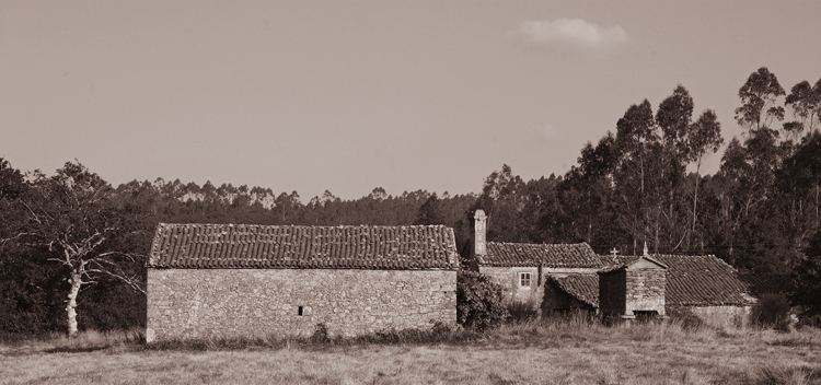 Paisaje rústico