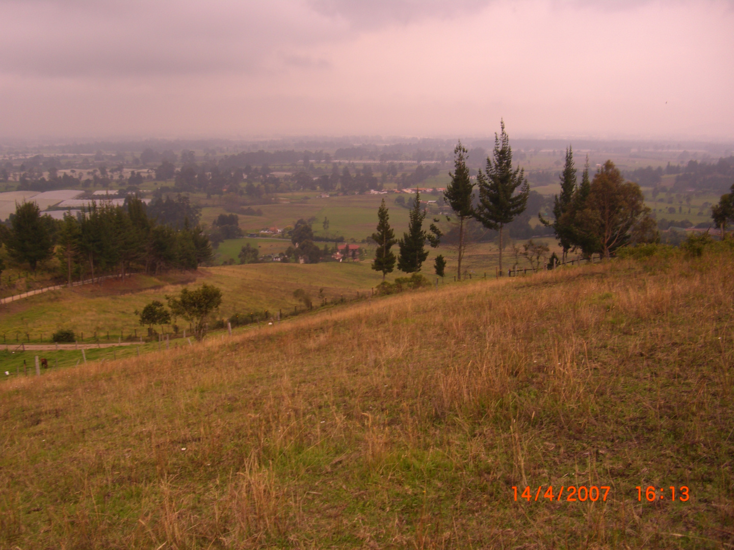 Paisaje sabanero