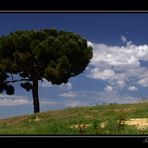 Paisaje Tópico