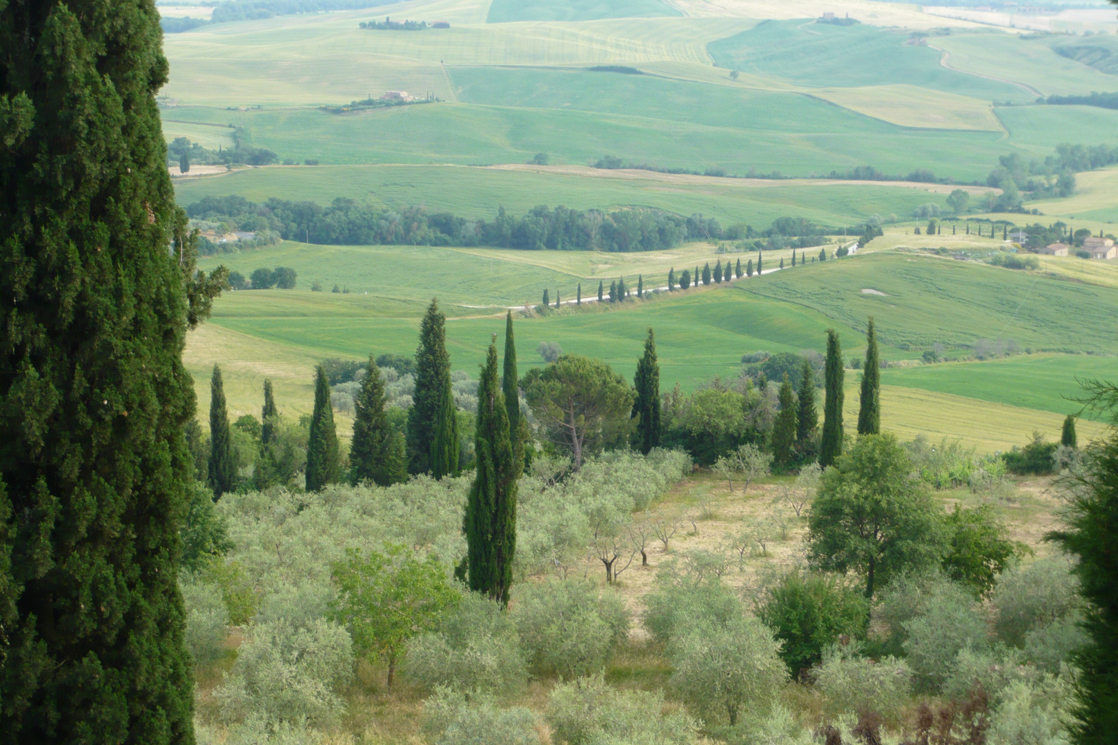 PAISAJE TOSCANO