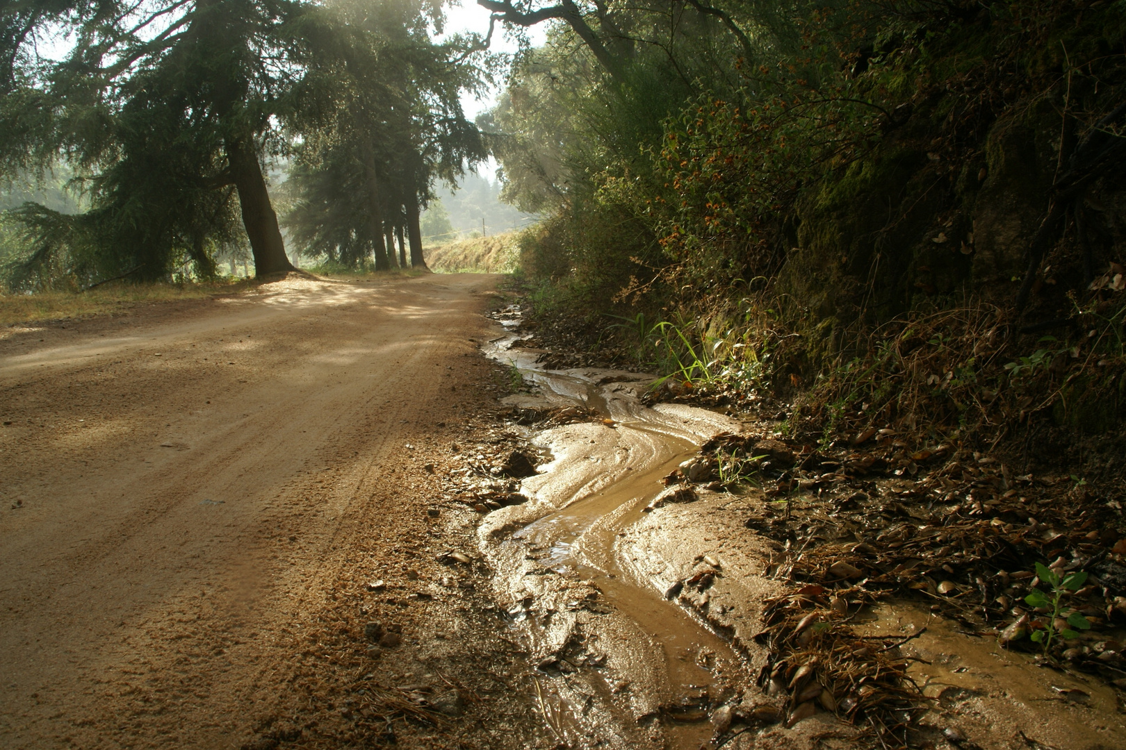 paisaje tras la tormenta