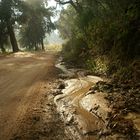 paisaje tras la tormenta