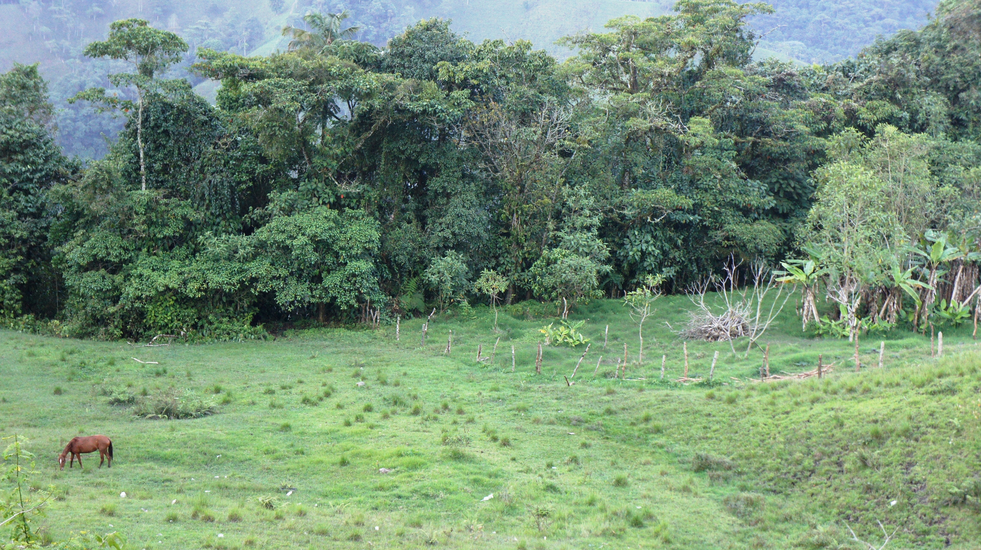 Paisaje via el Manzano