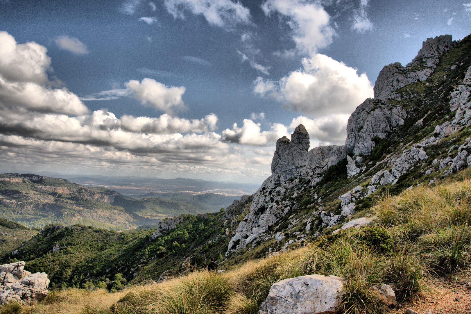 Paisajede montaña