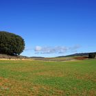 ...paisajes de Castilla la Mancha...