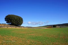 ...paisajes de Castilla la Mancha...