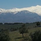 Paisajes de Granada