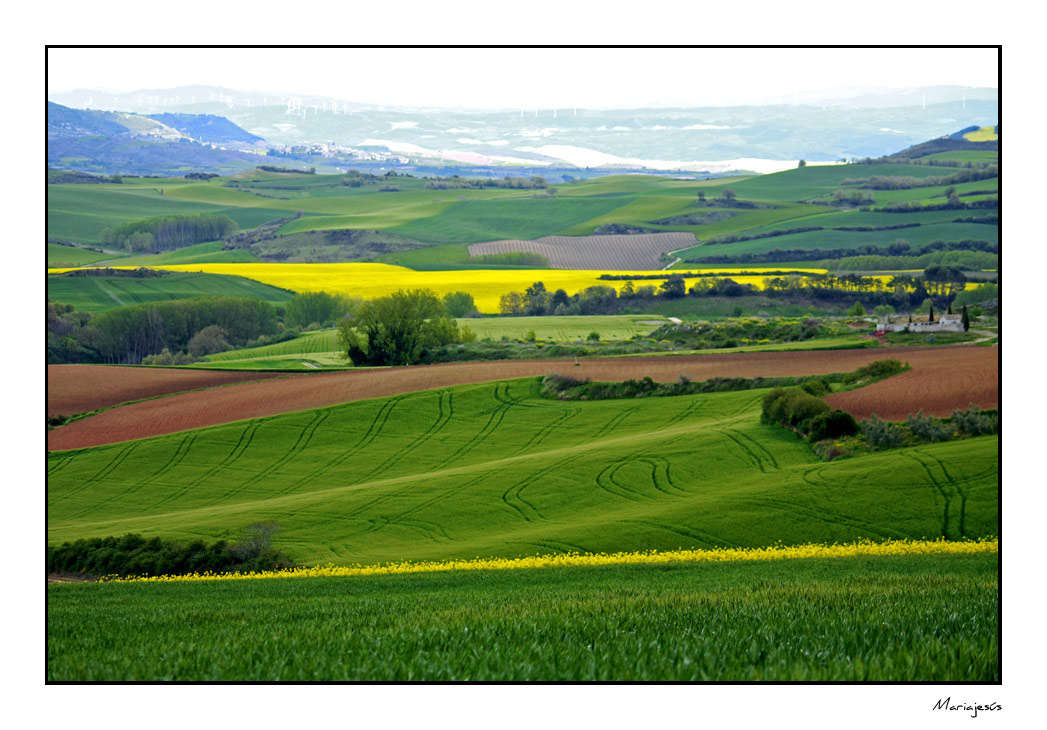 Paisajes de Navarra (3)