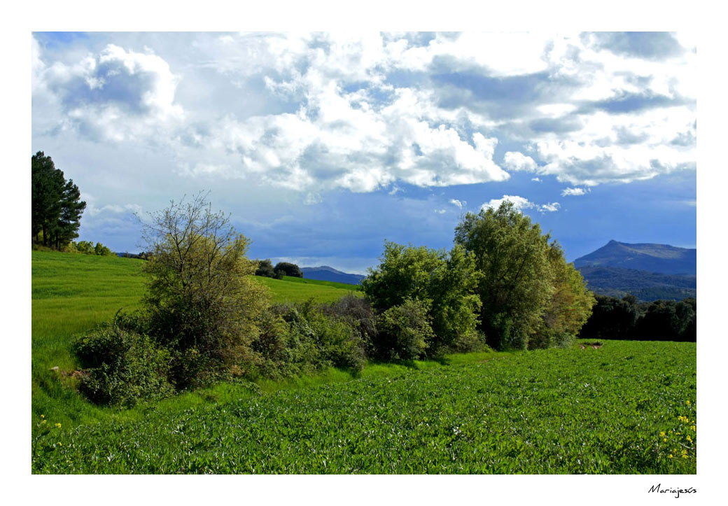 Paisajes de Navarra (5)