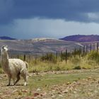 Paisajes del norte Argentino