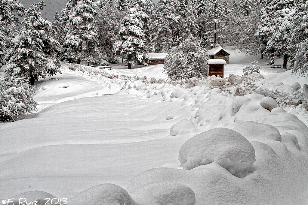 Paisajes en Blanco