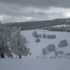 Paisajes invernales de Schauinsland
