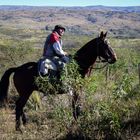 Paisano a caballo