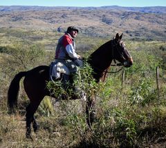 Paisano a caballo