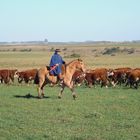 Paisano de estancia en Uruguay