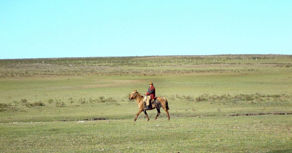 Paisano recorredor de estancia en Uruguay