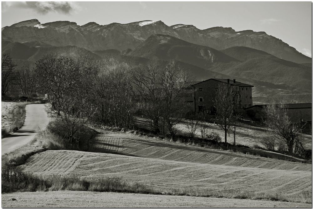 Paisatge de l'Alta Cerdanya I