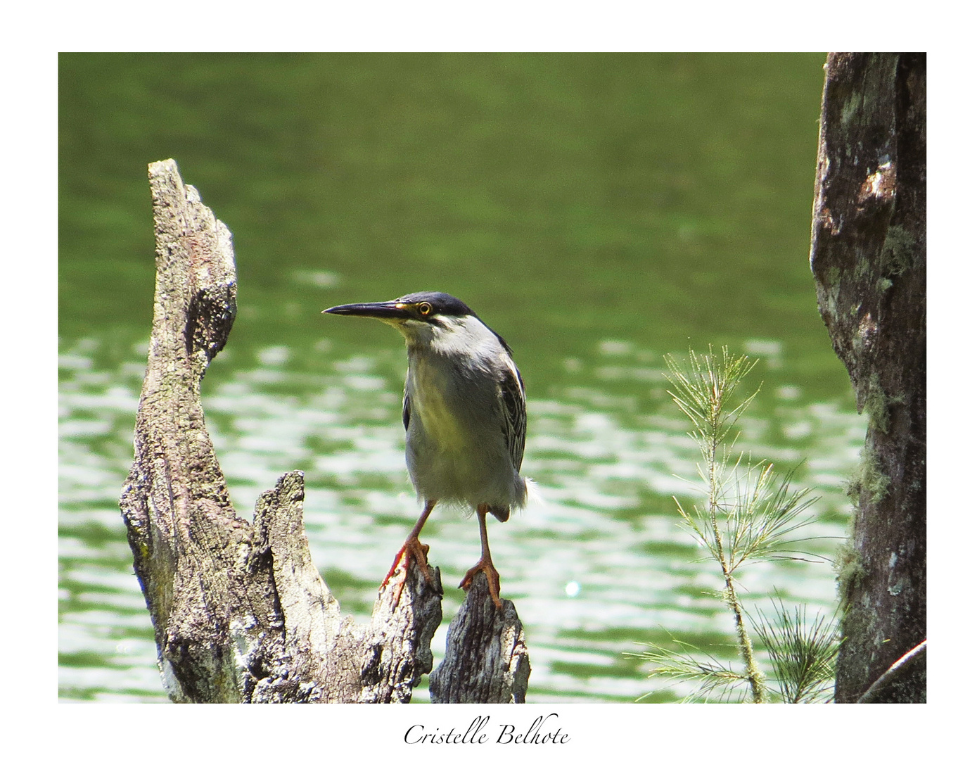 Paisible et sauvage