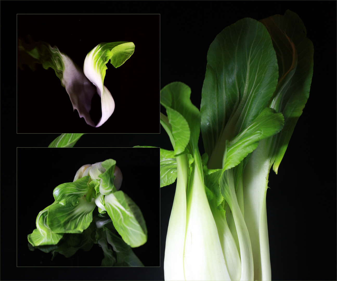 Pak Choi