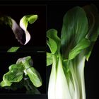 Pak Choi