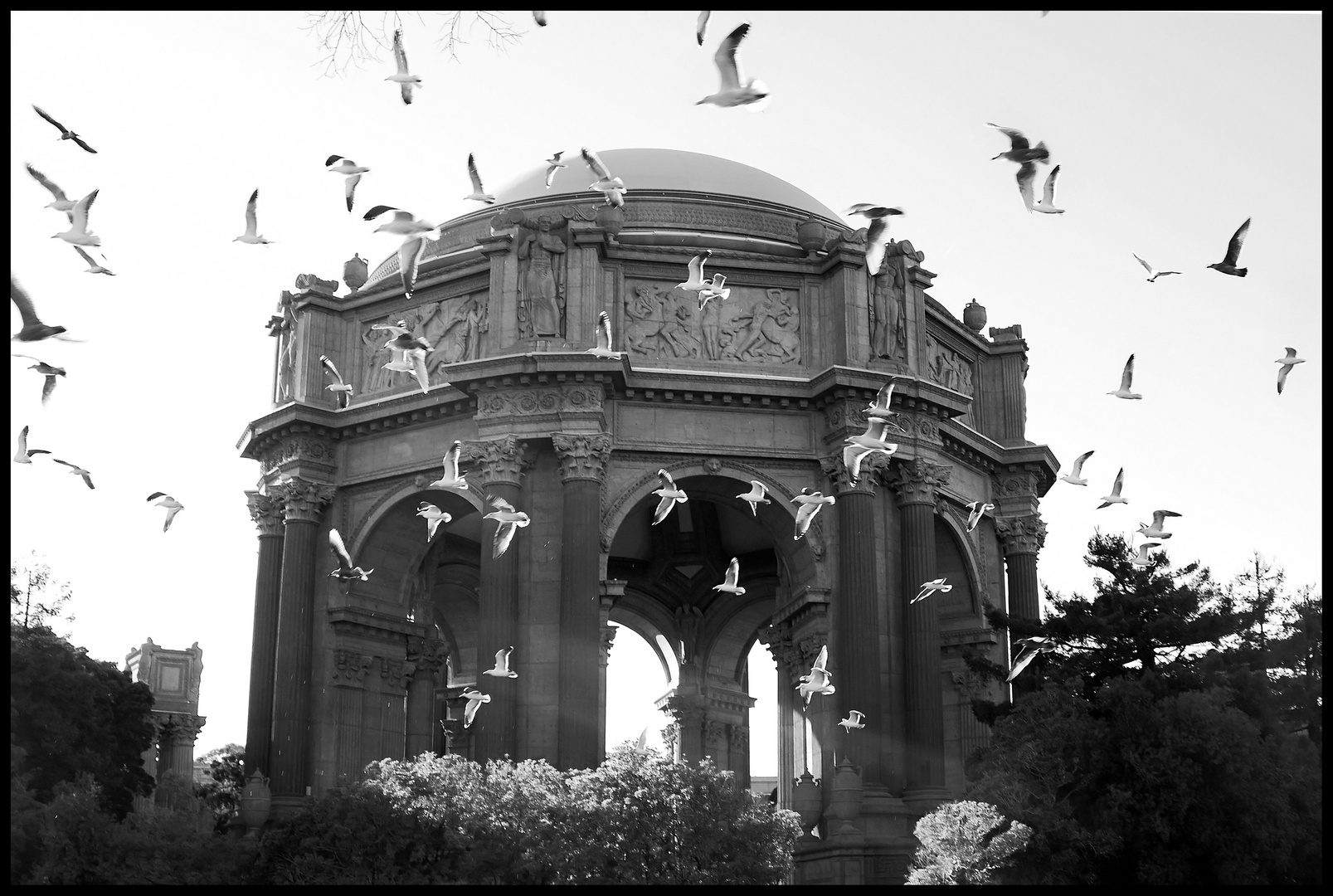 Palace of Birds