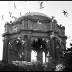 Palace of Birds