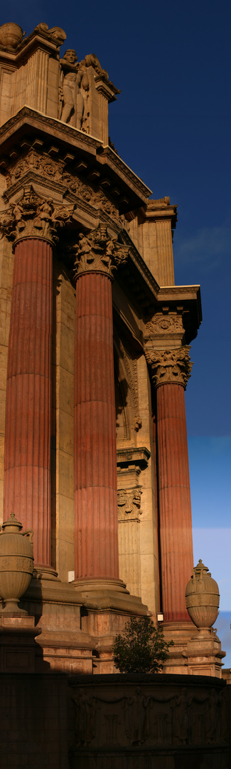 Palace of Fine Arts San Francisco vertical Pan