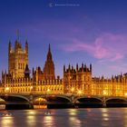 "Palace of Westminster" 