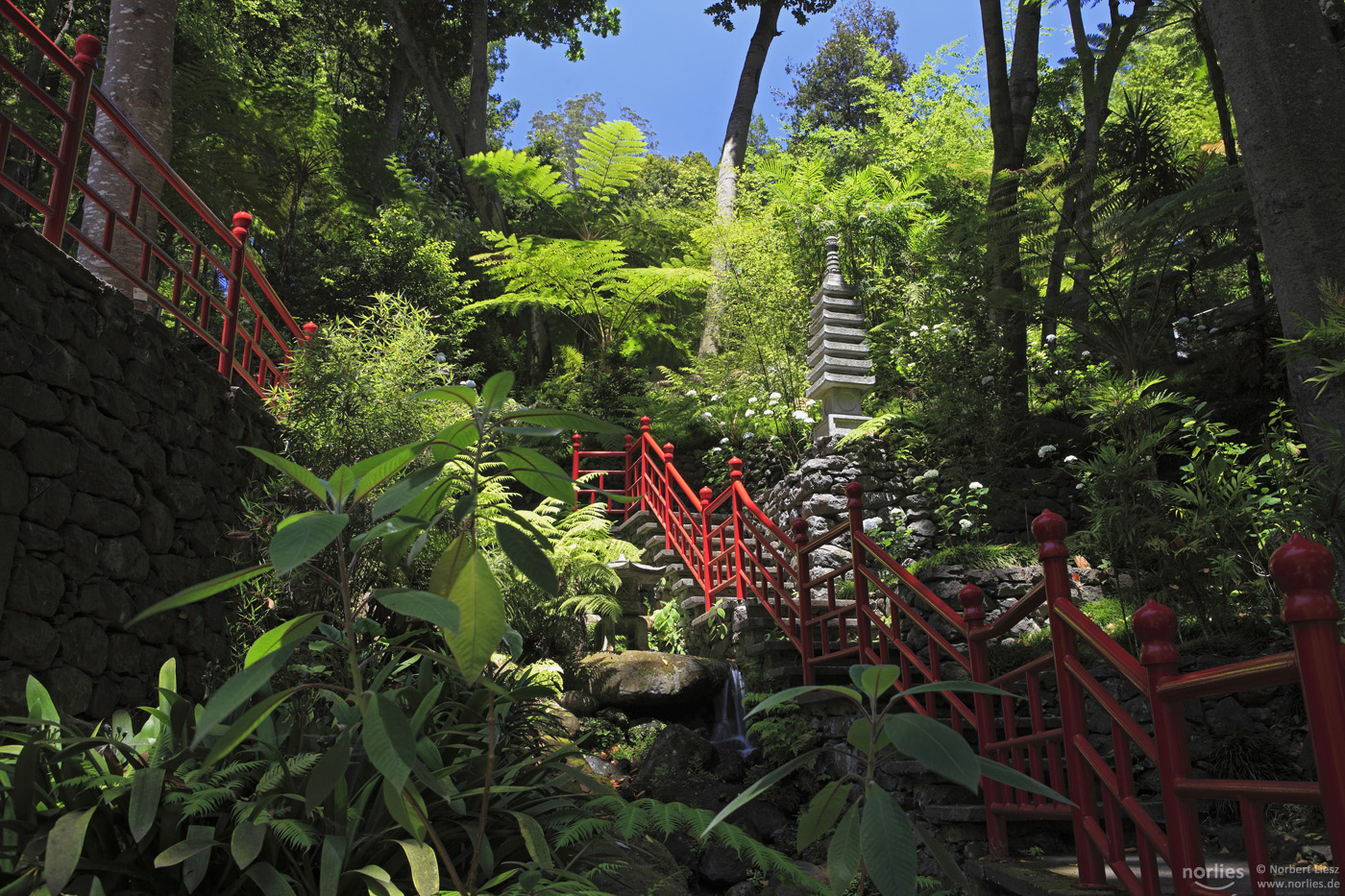 Palace Tropical Garden ...