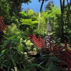 Palace Tropical Garden ...