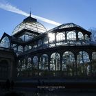 Palacio de Cristal (El Retiro)