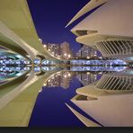  Palacio de las Artes Reina Sofía