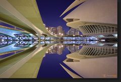  Palacio de las Artes Reina Sofía