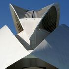 Palacio de las Artes Reina Sofía en Valencia realizado por Santiago Calatrava.