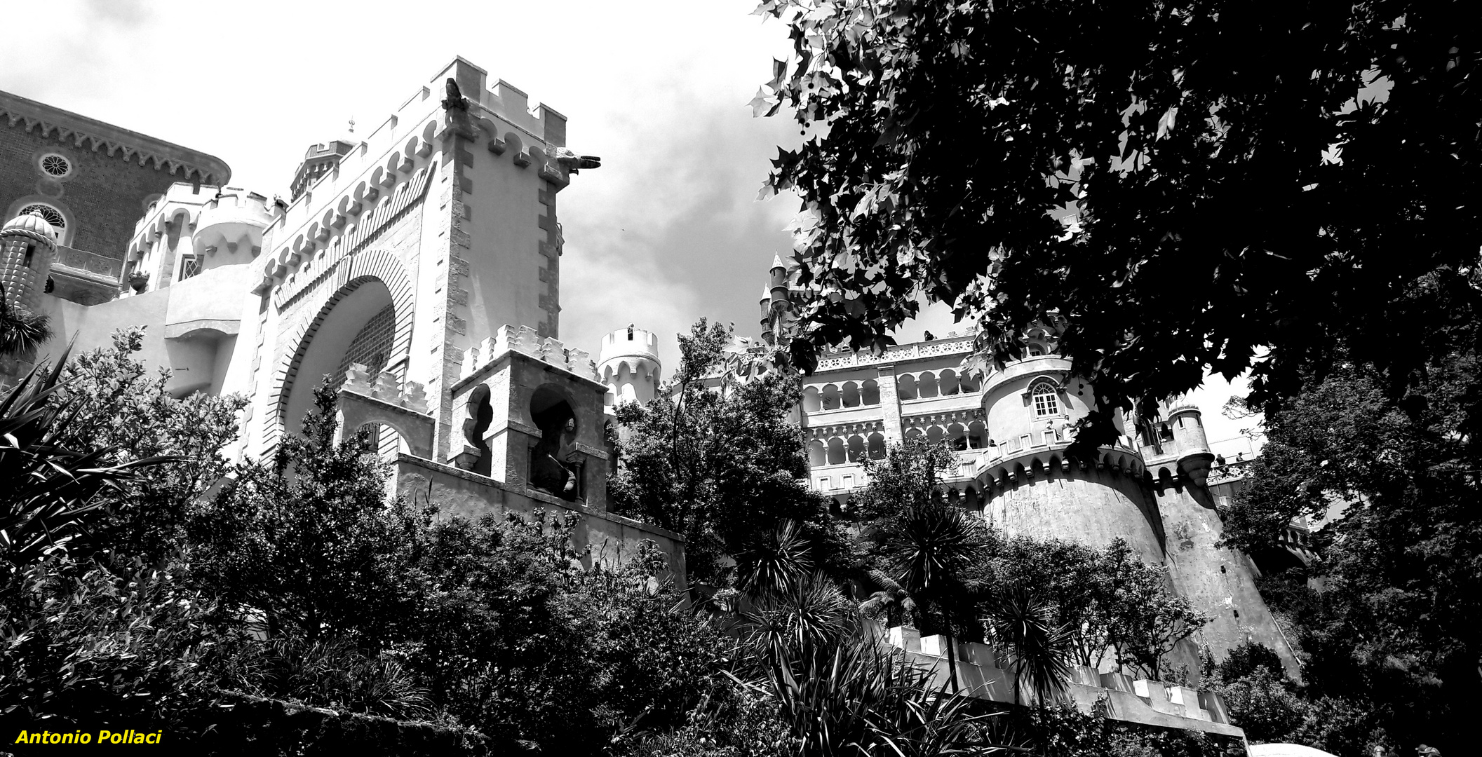 Palacio de Pena bn