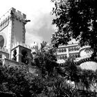 Palacio de Pena bn