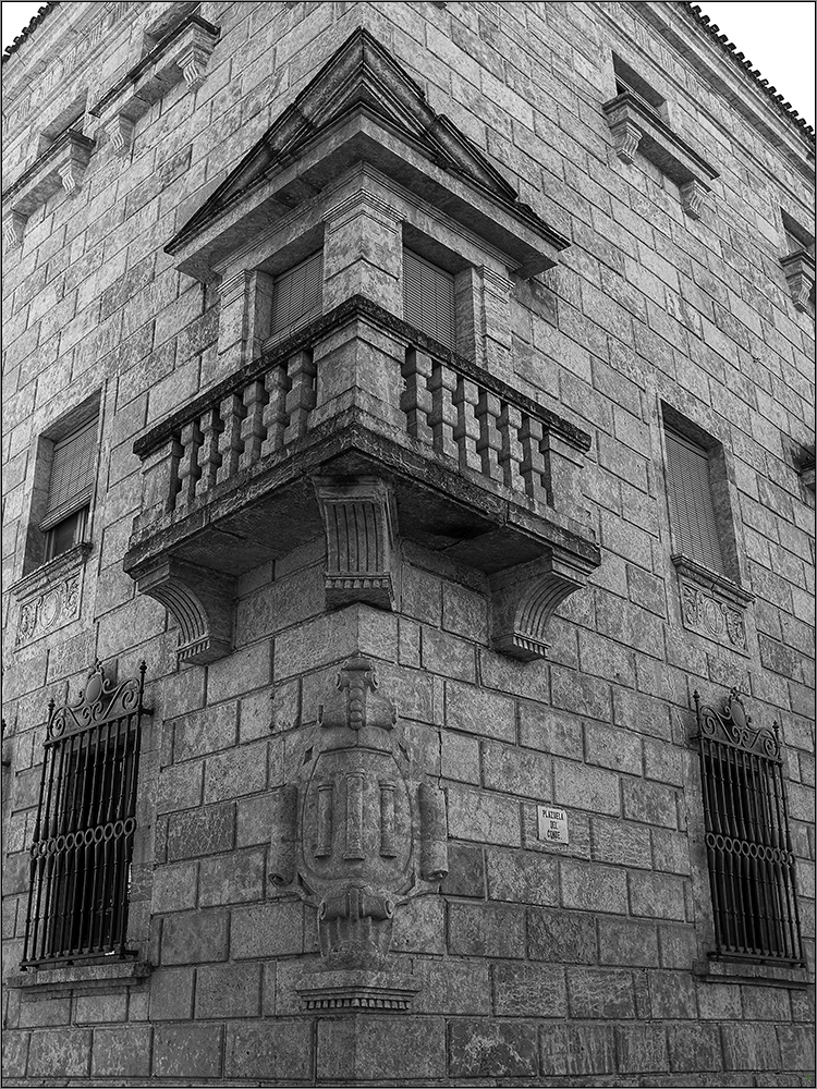 Palacio del Conde de Alba de Yeltes -- Ciudad Rodrigo --