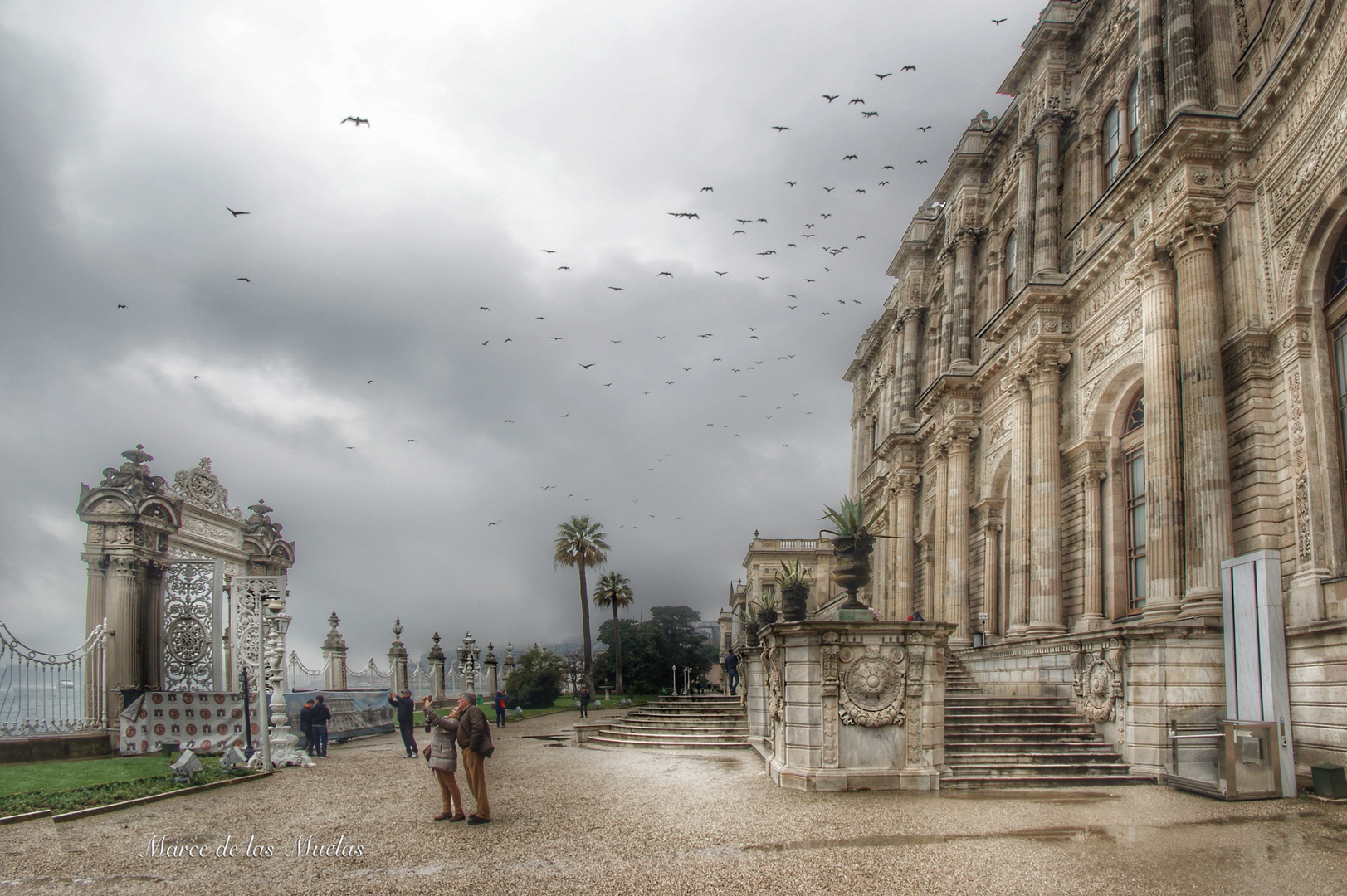  Palacio Dolmabahce  Estambul