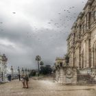  Palacio Dolmabahce  Estambul