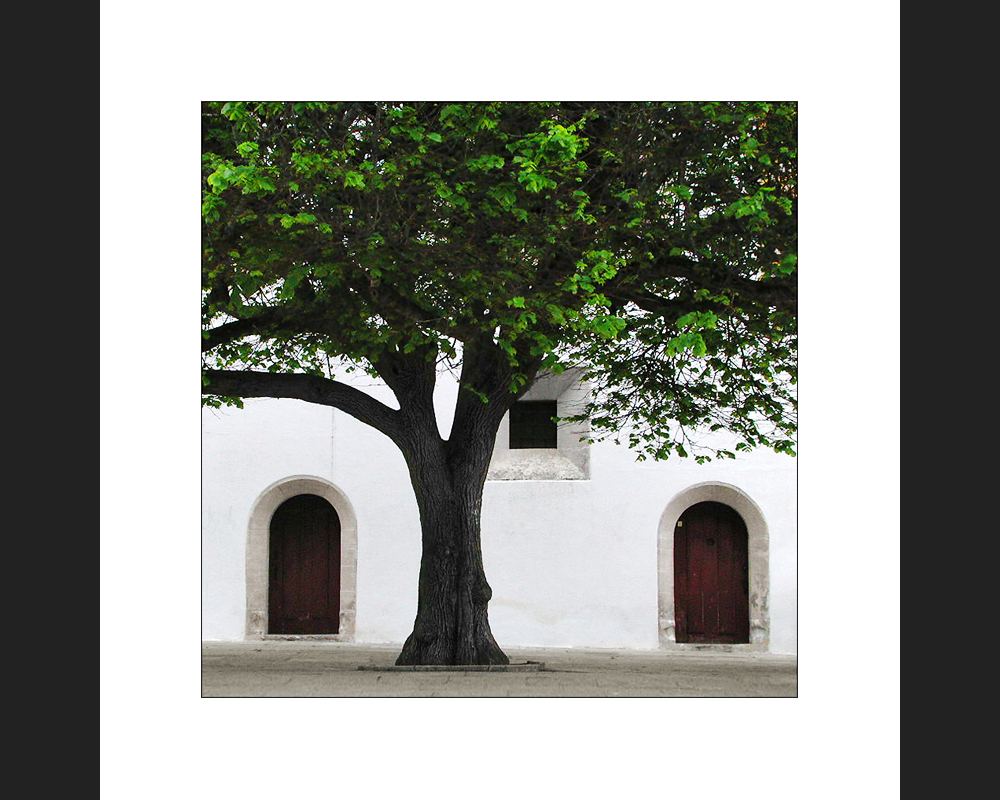 Palácio Nacional de Sintra