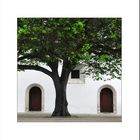 Palácio Nacional de Sintra