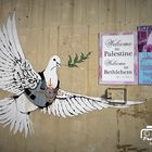 Palästina, Bethlehem, West Bank: Wenn Bilder tausend Worte sprechen 