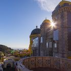 Palaçio da Pena - Sintra