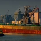 PALAIS / Bulk carrier / Rotterdam