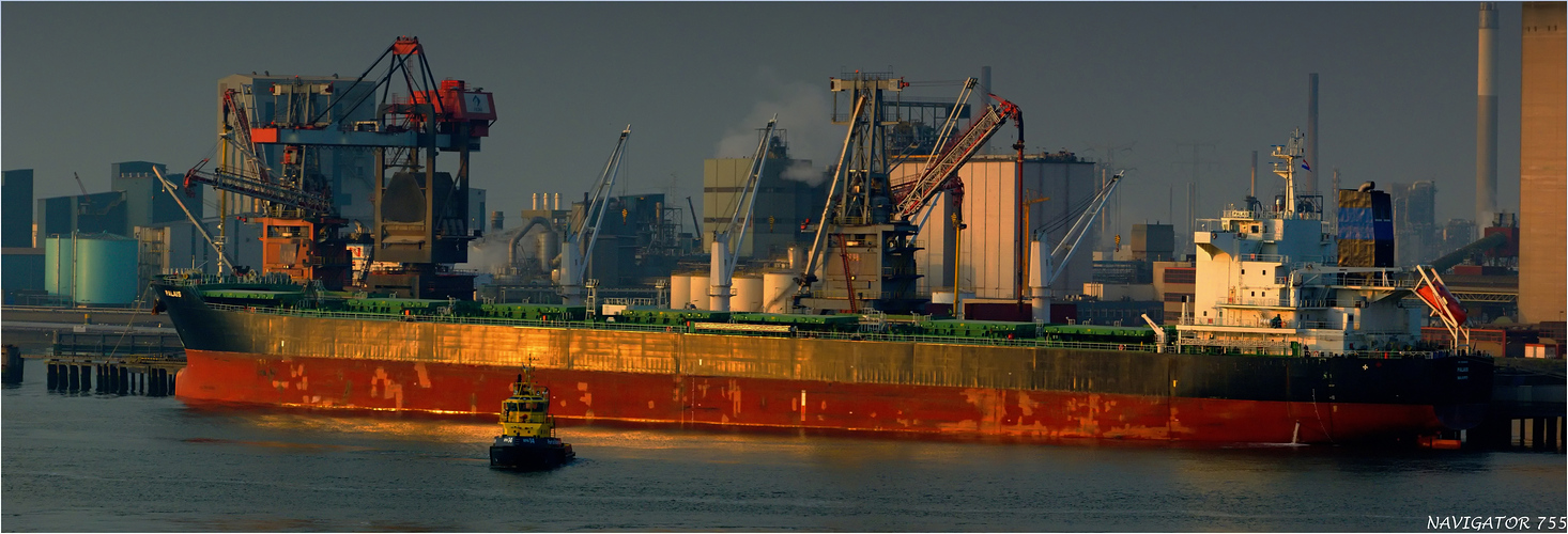 PALAIS / Bulk carrier / Rotterdam