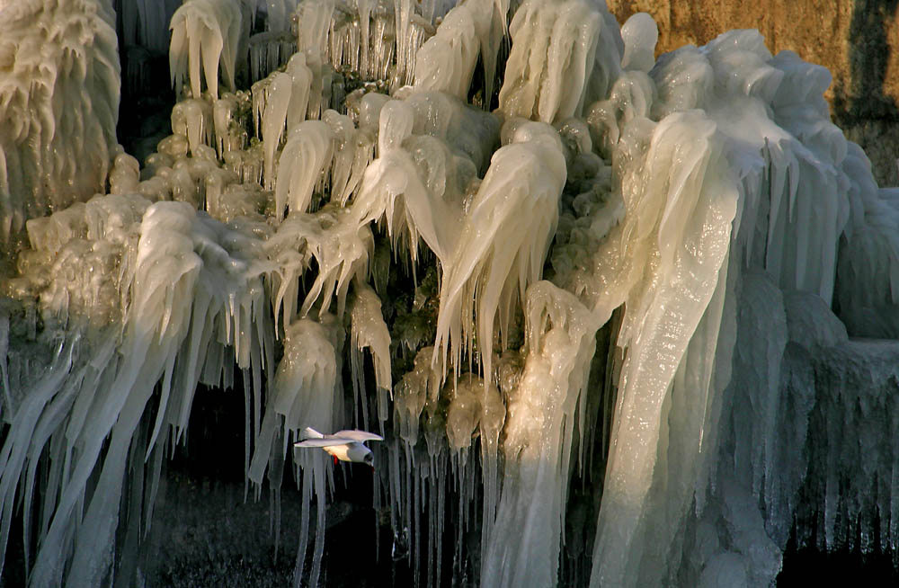 Palais des glaces sur le Léman